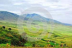 African landscape, Tanzania