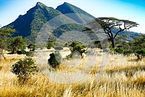 African landscape