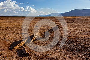 African landscape view of Manyara Lake in dry season