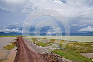 African landscape with wild animals near the road in the crater of the Ngorongoro volcano in Tanzania.