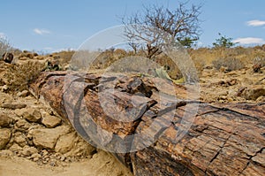 African landscapes - Damaraland Namibia