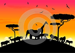 african life with sunset