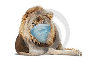 African Male Lion Wearing Face Mask