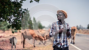 African man photographer traveling in countryside with cows.16:9 style