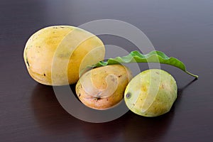 African Mangos photo