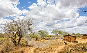 African Masai village