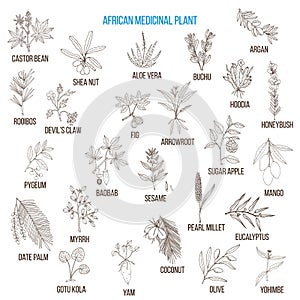 African medicinal plants