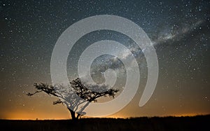 African Milky way Stars South Africa