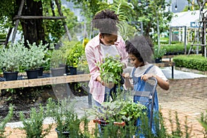 African mother and daughter is choosing vegetable and herb plant from the local garden center nursery with shopping cart full of