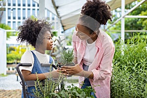 African mother and daughter is choosing vegetable and herb plant from the local garden center nursery with shopping cart full of