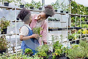 African mother and daughter is choosing vegetable and herb plant from the local garden center nursery with shopping cart full of