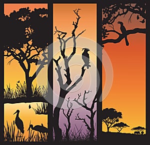 African nature silhouettes