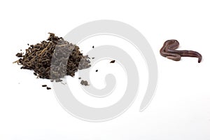 African Night Crawler, earthworms and Fertile soil isolated on white background