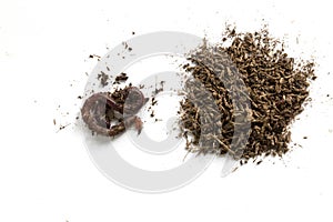 African Night Crawler, earthworms and Fertile soil isolated on white background