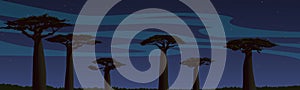 African night landscape, alley of baobabs under the starry sky. Madagascar panoramic view, wildlife scene. Artistic drawing,