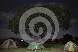 African night tents under tree
