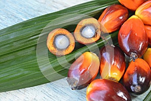 Close up of fresh palm oil fruits, selective focus. photo