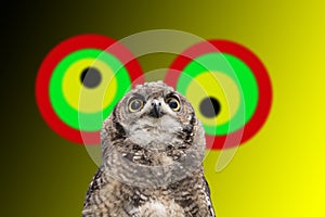 African owl om hypnotic background