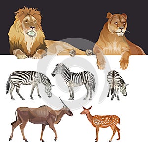 African predators and herbivores, realistic vector image