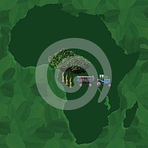 African rain forest deforestation
