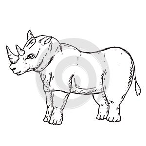 African rhinoceros Wild animal on white