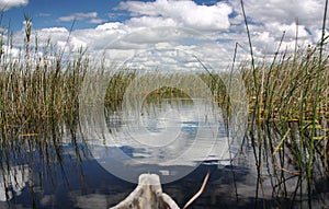 African river