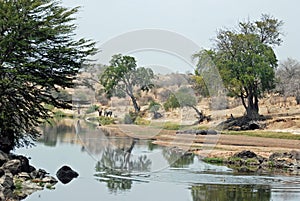 African river landscape reflecting in water