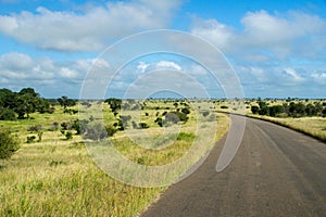 African road in savanna, South Africa