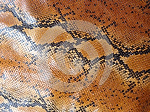 African rock python skin pattern