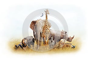 African Safari Animal Fantasy Land