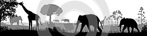 African safari animal silhouette landscape scene