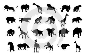 African Safari Animal Silhouettes