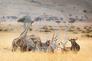 African Safari Animals in Dreamy Kenya Scene photo