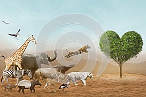 African safari and Asian animals in the theme illustration, filled with many animals with mountains and heart tree background