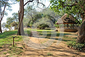 African safari camp in the bushland