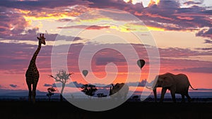 African Safari Colorful Sunrise With Animals