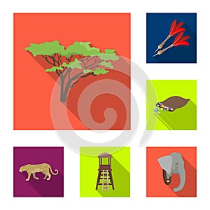 African Safari flat icons in set collection for design. Trophies and equipment for Safari vector symbol stock web