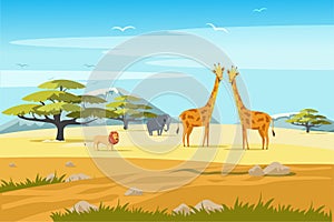 African safari flat vector banner concept