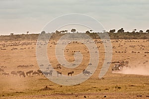 African Safari Jeep