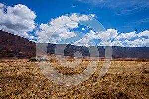 African safari in the Ngorongoro area