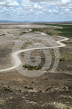 African Safari road