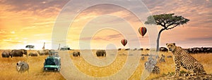 African Safari Scene Web Banner