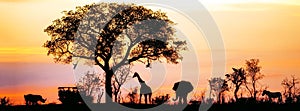 African Safari Silhouette Banner