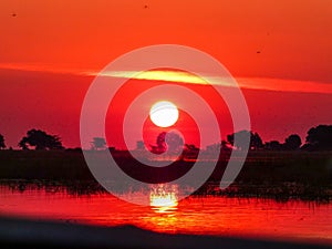African safari sunset over the Chobe river