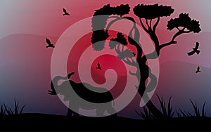 African safari theme with elephant and birds in a beautiful place with a tree, vector illustration