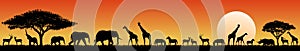 African savanna animals at sunset