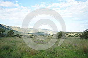 African Savanna grassland and valley