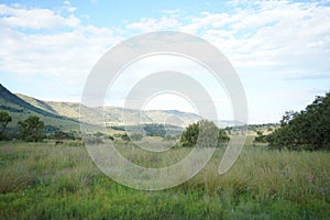 African Savanna grassland and valley photo