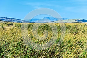 African savanna in Kenya