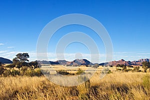 African savanna landscape